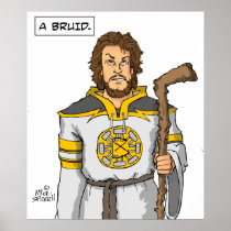 ABruid- Poster