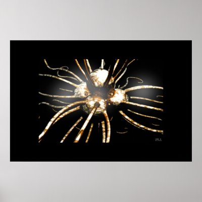 ABS 4 POSTERS by MasterOmac