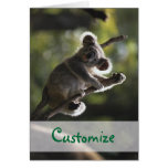 Absolutely Adorable Koala Bear Greeting Card