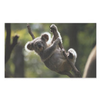 Absolutely Adorable Koala Bear Rectangle Sticker