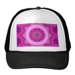 ABSTRA2011_0214AC TRUCKER HAT