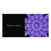 Abstract Art Periwinkle Flower Photo Card