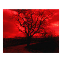 Abstract Bald Tree Announcements