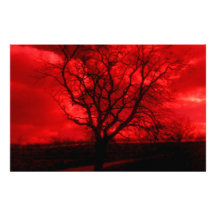Abstract Bald Tree Personalized Stationery