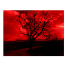 Abstract Bald Tree Post Cards