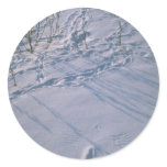 Abstract Bird tracks and feather imprint in the sn Round Stickers