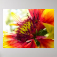 Abstract Blanket Flower Bloom Print