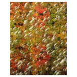 Abstract Bubbles Colours Scrapbook Paper