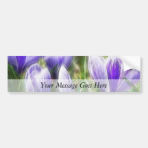 Abstract - Crocus Flowers Bumper Sticker