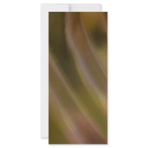 Abstract Curve Custom Rack Cards