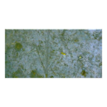 abstract design custom photo card