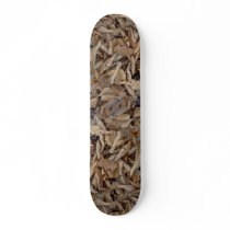 Abstract Dried beech, maple and oak leaves on the Skate Boards