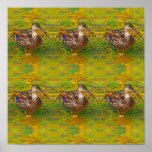 Abstract Ducks In A Row Colour Sketch Art Poster