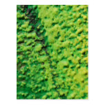 Abstract Green and Yellow Postcards