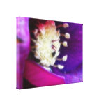 Abstract - Hellebore Bloom Gallery Wrapped Canvas