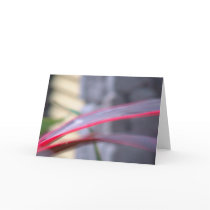 Abstract in Pink Neon Greeting Cards