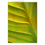 Abstract Leaf Greeting Card