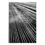 Abstract lines photographic print