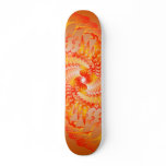 Abstract Orange Spiral: Vector Drawing: Skateboard