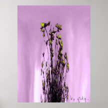 abstract print