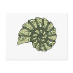 Abstract Sea Shell-001 Post Card