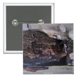 Abstract Shapes No.1 11.3 x 18 Pinback Button