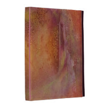 Abstract Splash of Colours iPad Folio Case