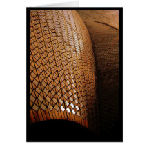 Abstract Sydney Opera House Cards