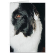 abstract vinny1 greeting cards