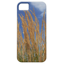 Abstract Wheat iPhone 5 Case