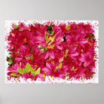 Abundant Azaleas II Grunge Print