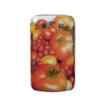 Abundant Harvest - Heirloom Tomatoes Blackberry Bold Cover
