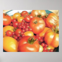 Abundant Harvest - Heirloom Tomatoes Posters
