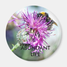 Abundant Life Fridge Magnets