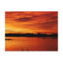 Abyssal of Orange Post Cards