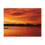 Abyssal of Orange postcards