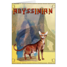 Abyssinian Cat Card