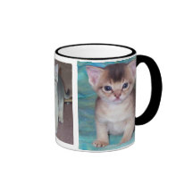 Abyssinian Cat Kittens Mug