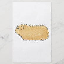 Abyssinian Guinea Pig. Full Color Flyer