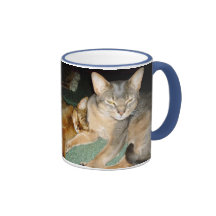 Abyssinian Kitten and Cat Mugs
