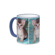 Abyssinian Kitten Mugs