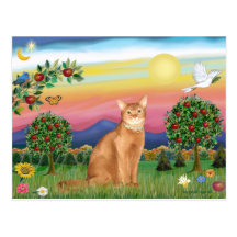 Abyssinian (red 18) - Bright Country Postcards
