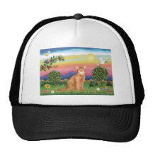 Abyssinian (red 18) - Bright Country Trucker Hats