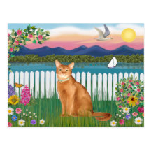 Abyssinian (red 18) - Garden-Shore Postcards