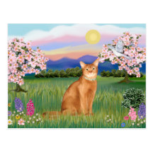 Abyssinien (rouge 18) - fleurs cartes postales