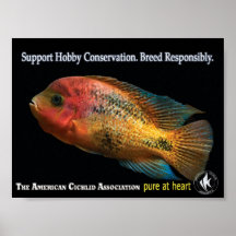 ACA - Pure at Heart II Posters