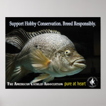 ACA - Pure at Heart Print