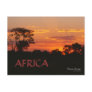 Acacia Sunset Africa Postcard