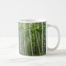 Acadia Birches Coffee Mugs