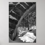 Acadia Bridge Poster - 2